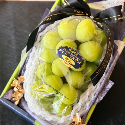 image_D98A1773-BC3A-4AE7-9CB0-41CAAC83CD13_1761478472