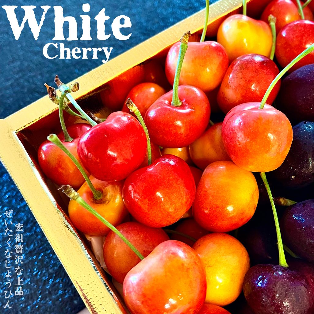 image_5BE69671-53E9-4C10-A88F-6960F3D402E9_1761719802