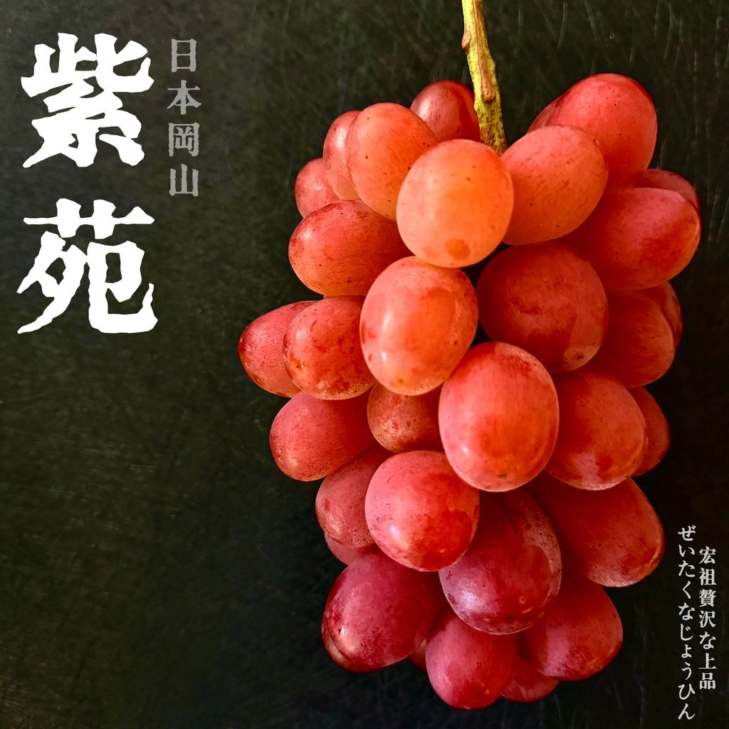 image_7E87D877-A821-4FA8-A428-78519EF6EB61_1761969740