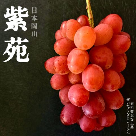 image_7E87D877-A821-4FA8-A428-78519EF6EB61_1761969740