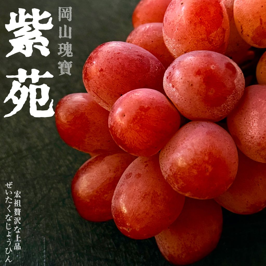 image_41B2E44E-10A3-4287-AD35-AF7BA321882F_1761969740