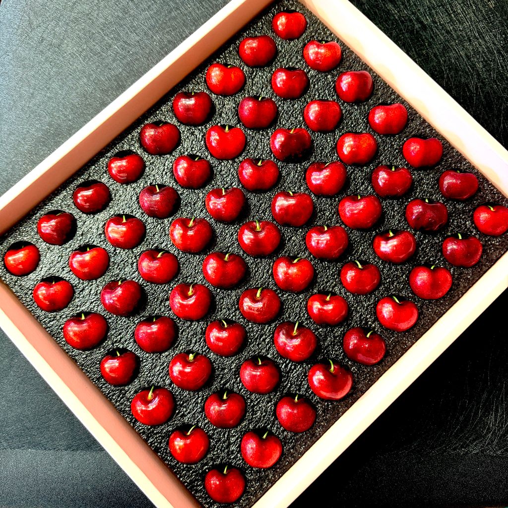 image_61095D77-1A08-4FE6-8F2F-2D42CED0C5A3_1762266057