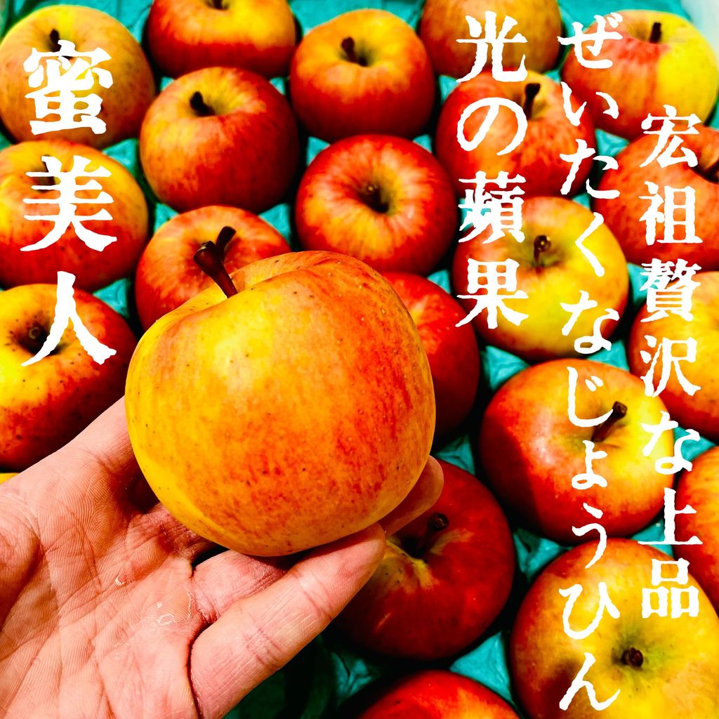 image_8E266301-0074-4CBD-8B04-171DCA38A330_1763517077