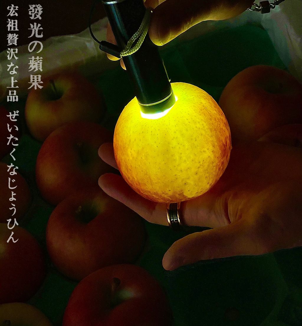 image_60DA211E-C7F3-4C0C-A4F5-0E4D8622D29F_1763518197