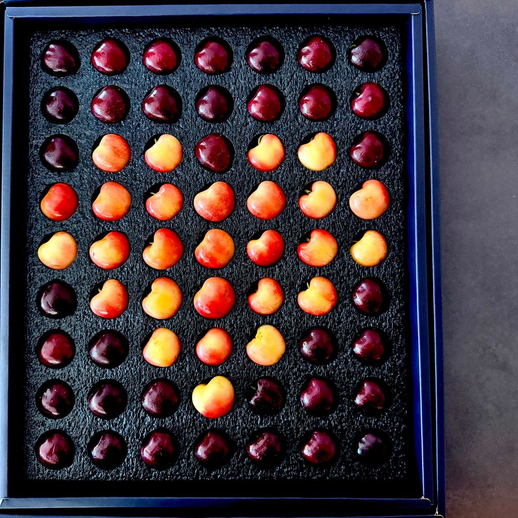 image_7AF0D427-1088-463B-8FE0-F3C0C40CD3A2_1764051263