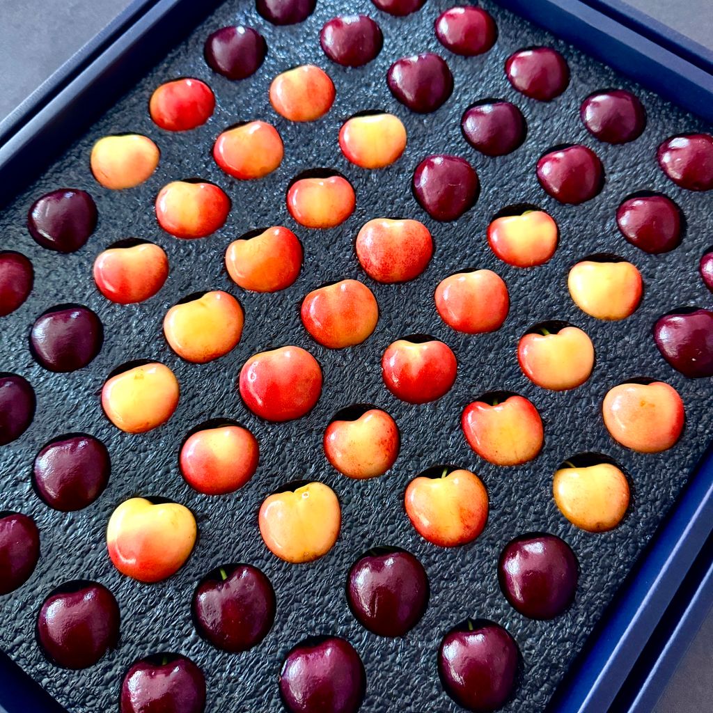 image_970DF113-58D6-42FD-9CB0-294DD025249D_1764051263