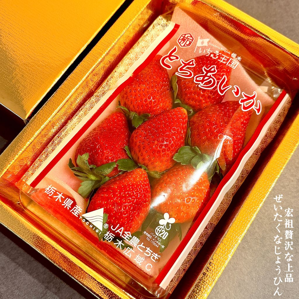 image_09AF3185-211D-4B86-B27D-68B1F1C887B1_1764635545