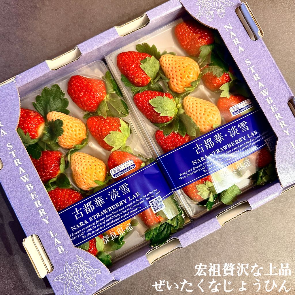 image_685BF13C-6563-465D-91A3-11B127C5A72A_1764640439