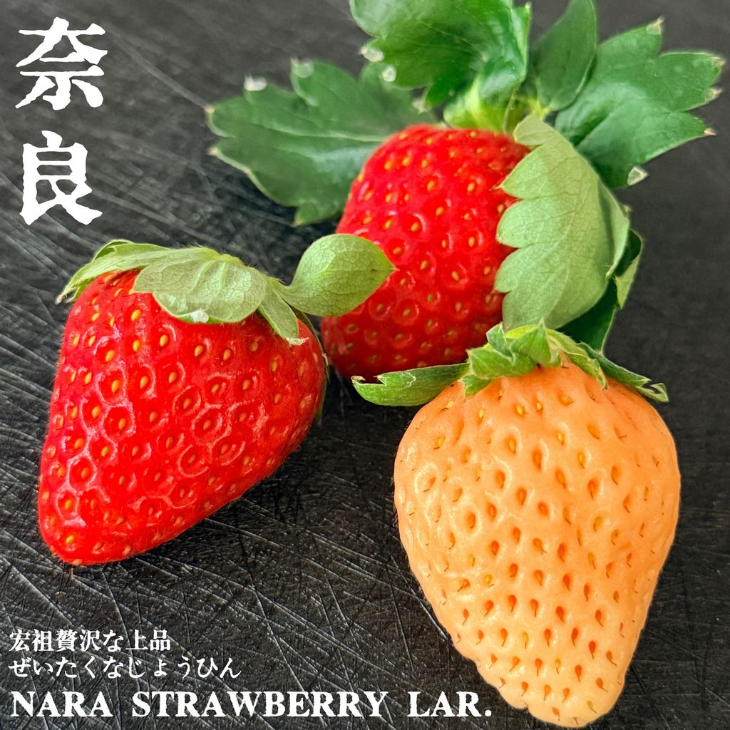 image_E0756A92-0D3A-4B65-AB16-BC161F80EADE_1764642097