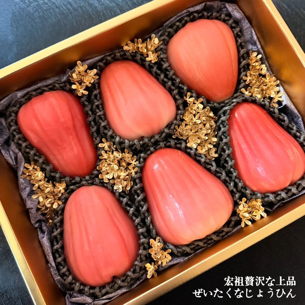 image_6573A76E-9B2C-477E-8132-192B996DE969_1764727498