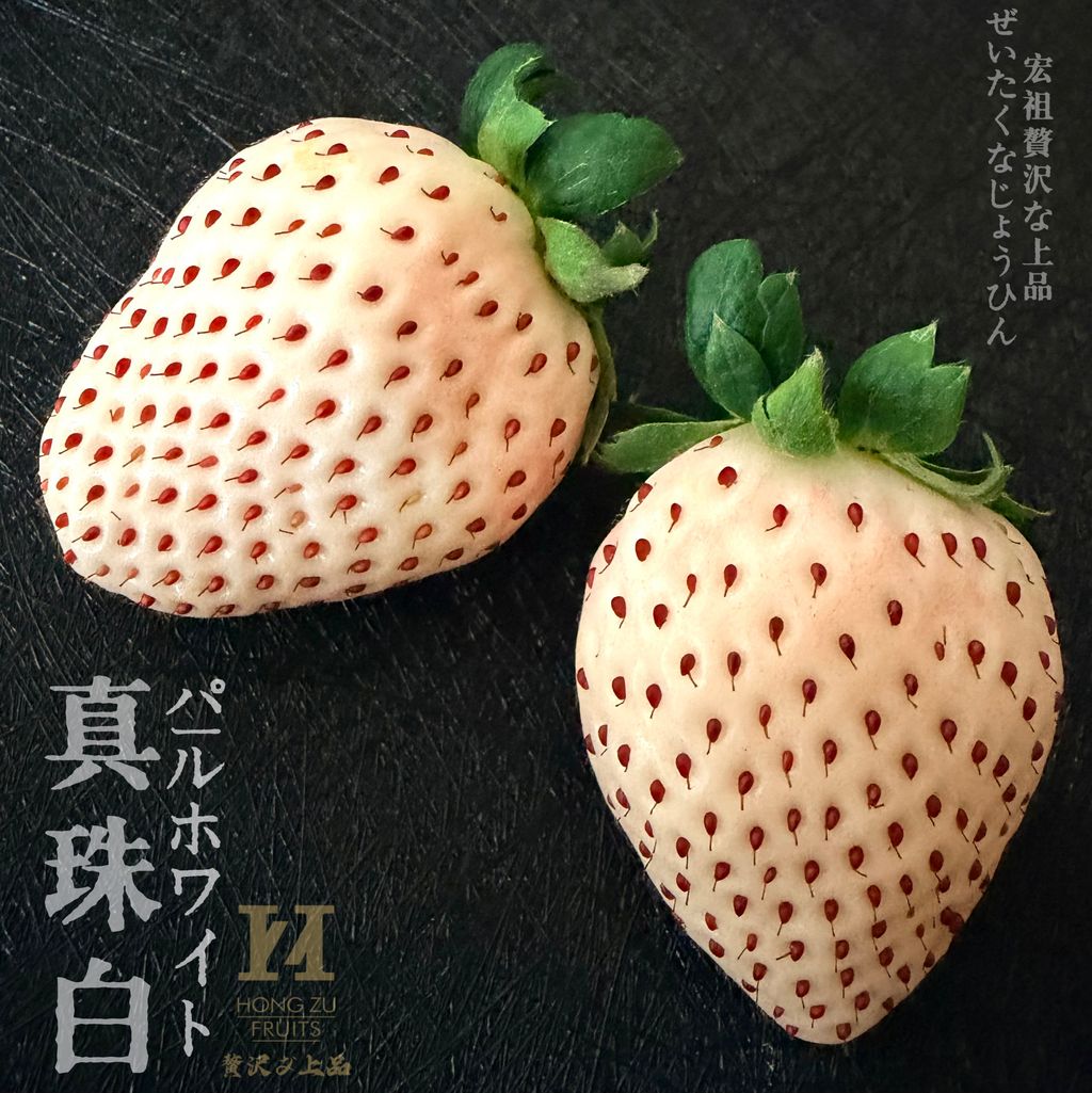 image_33BDA091-63BB-4225-902E-F96AA0530E3A_1764905216