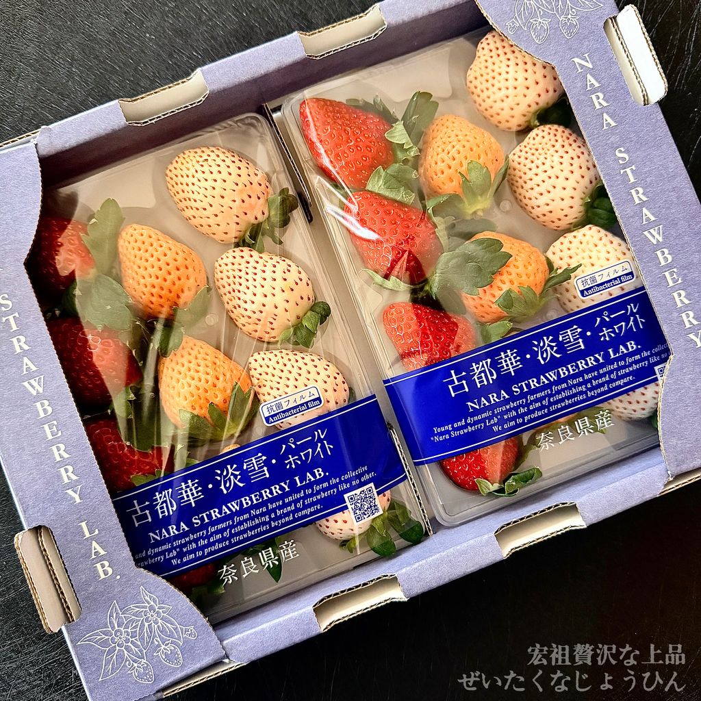 image_1A5523E1-4C67-48EA-B490-ECCBE1E3C34A_1764905216