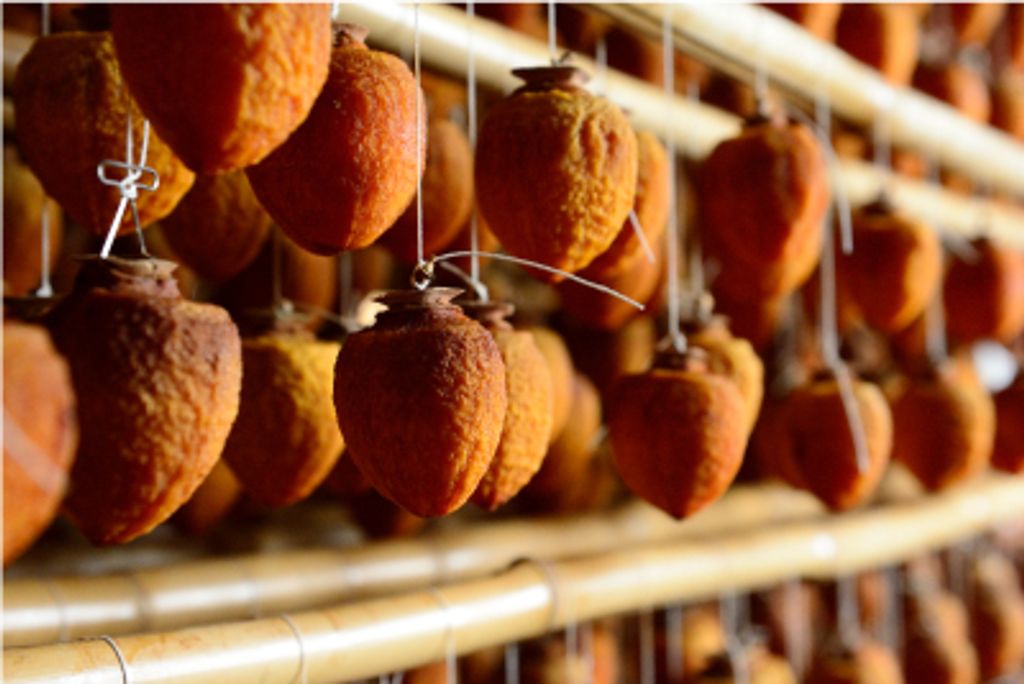 image_1C79B7E3-F83B-4E55-BC75-4E1482C9B0B5_1764907993