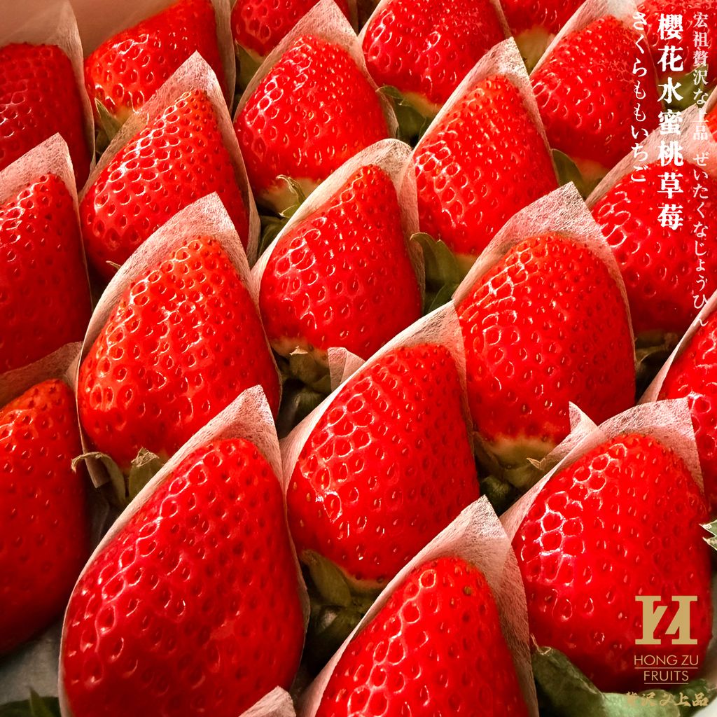 image_308F56D5-0B2E-4434-8C94-AEE03531DF9F_1764910640