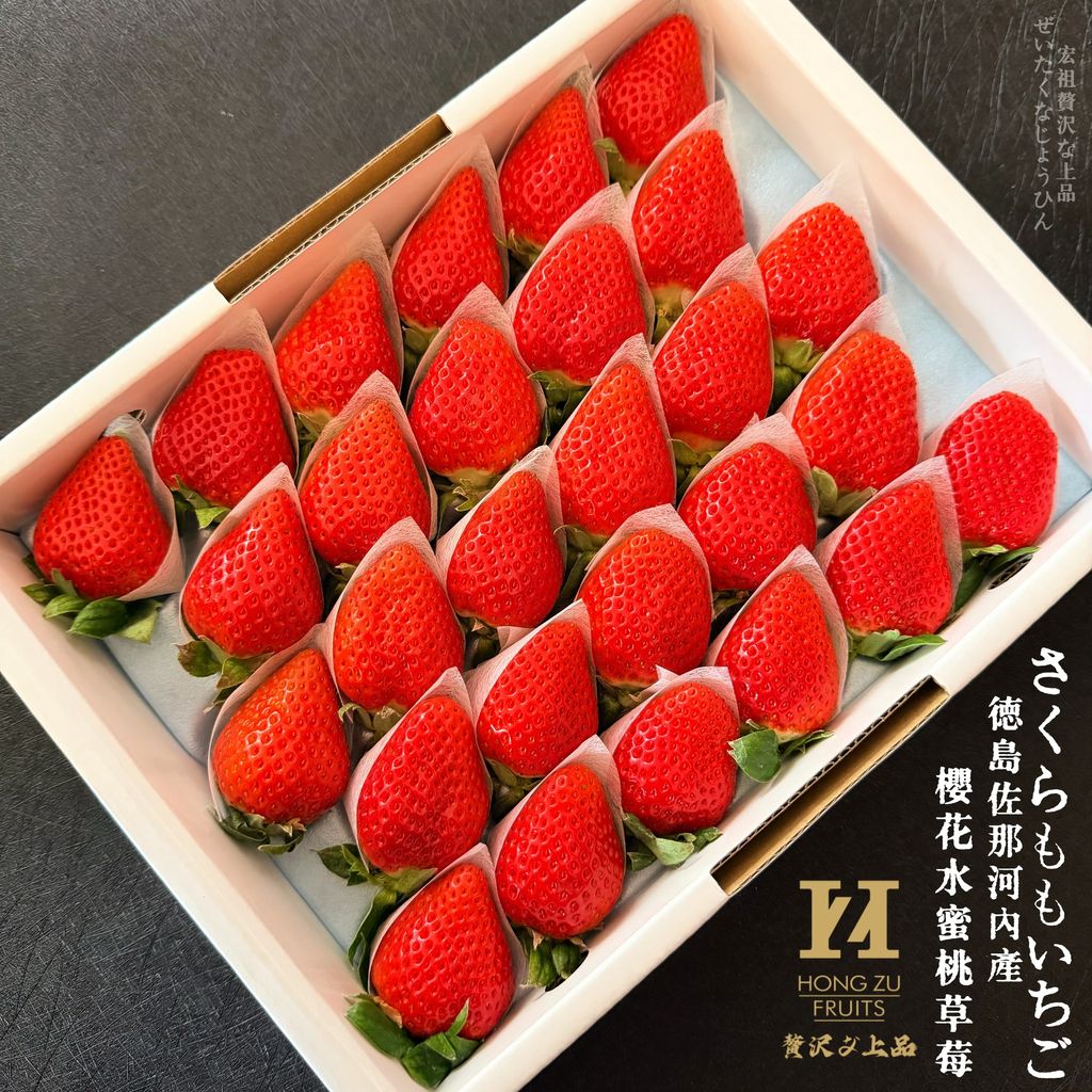 image_D3B455B0-50A0-4193-A4A7-FB2A4AF6D1F6_1764910641