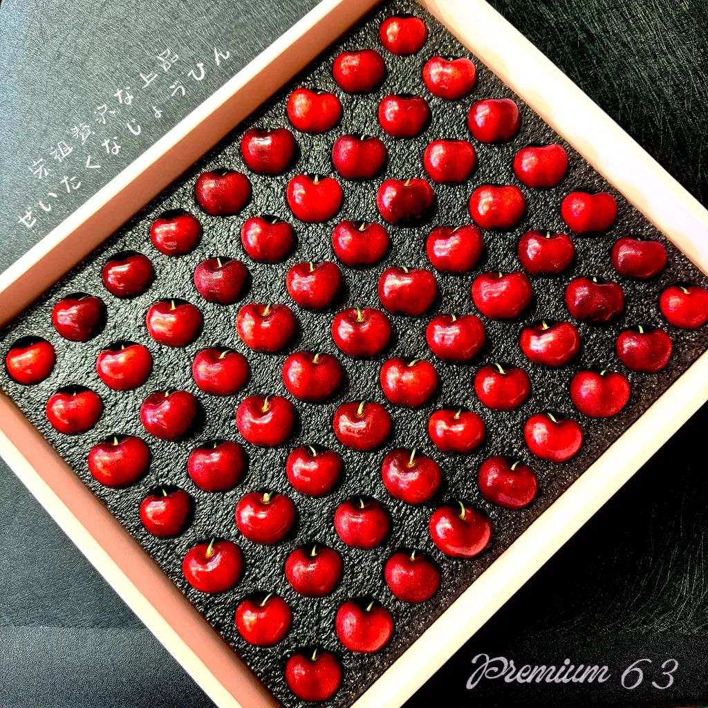 image_744633F8-5EC3-4664-ACA5-D3BE6B8A8453_1765012950