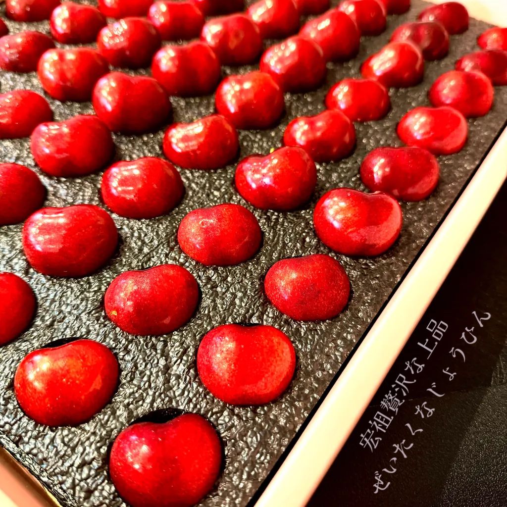 image_DC85D960-1579-4FEC-9386-706CFA2CBDD2_1765012950