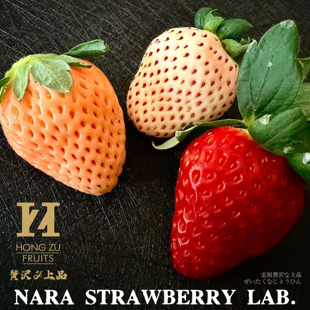 image_2C587C85-F0AE-4FF0-9832-8491EB66DAD1_1765166573