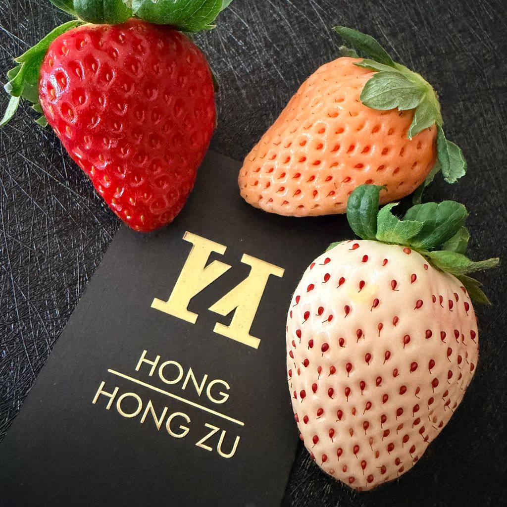 image_F5C32616-95EC-4E26-9322-FD2544A949E8_1765166573