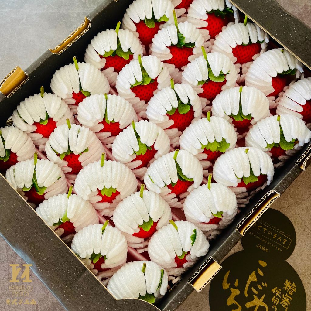 image_463B9D2C-A8BE-4341-A940-80848BAD776C_1765176238