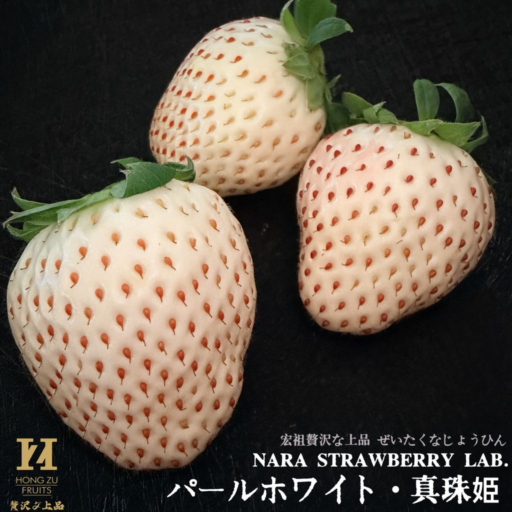 image_4EEB9CCF-6D10-4EA5-B9F4-0D28C240B199_1765499860