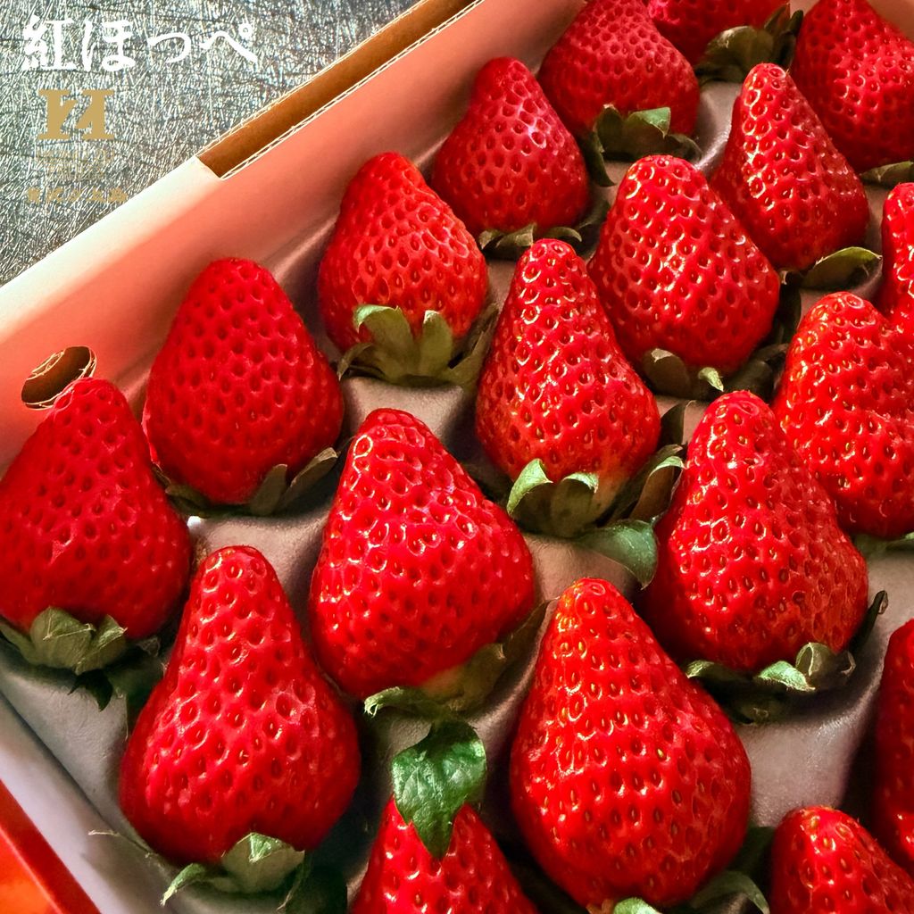 image_BA9A6C6B-3B25-48EC-8A05-7ED04D6BB3B5_1765679986