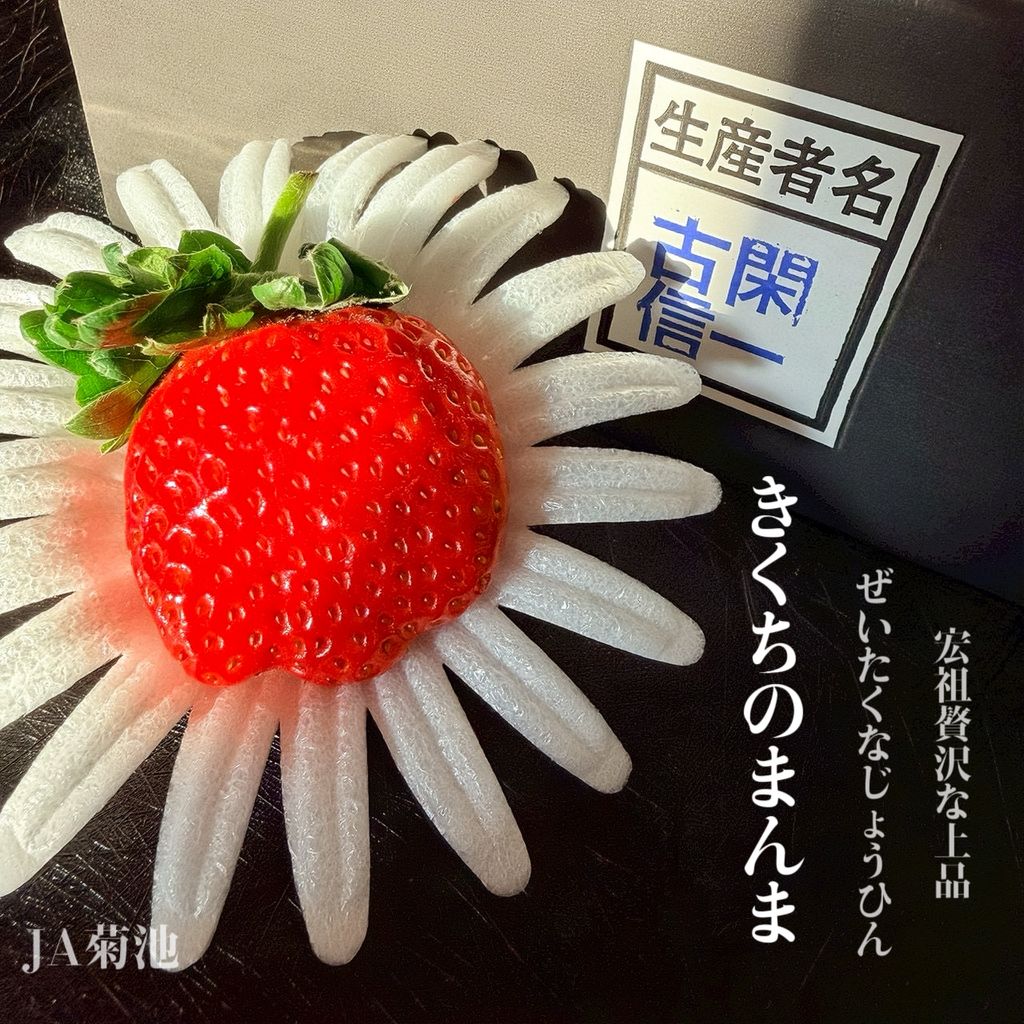 image_EAC1E338-1C9E-40A7-8CBB-66A417258B40_1765873092