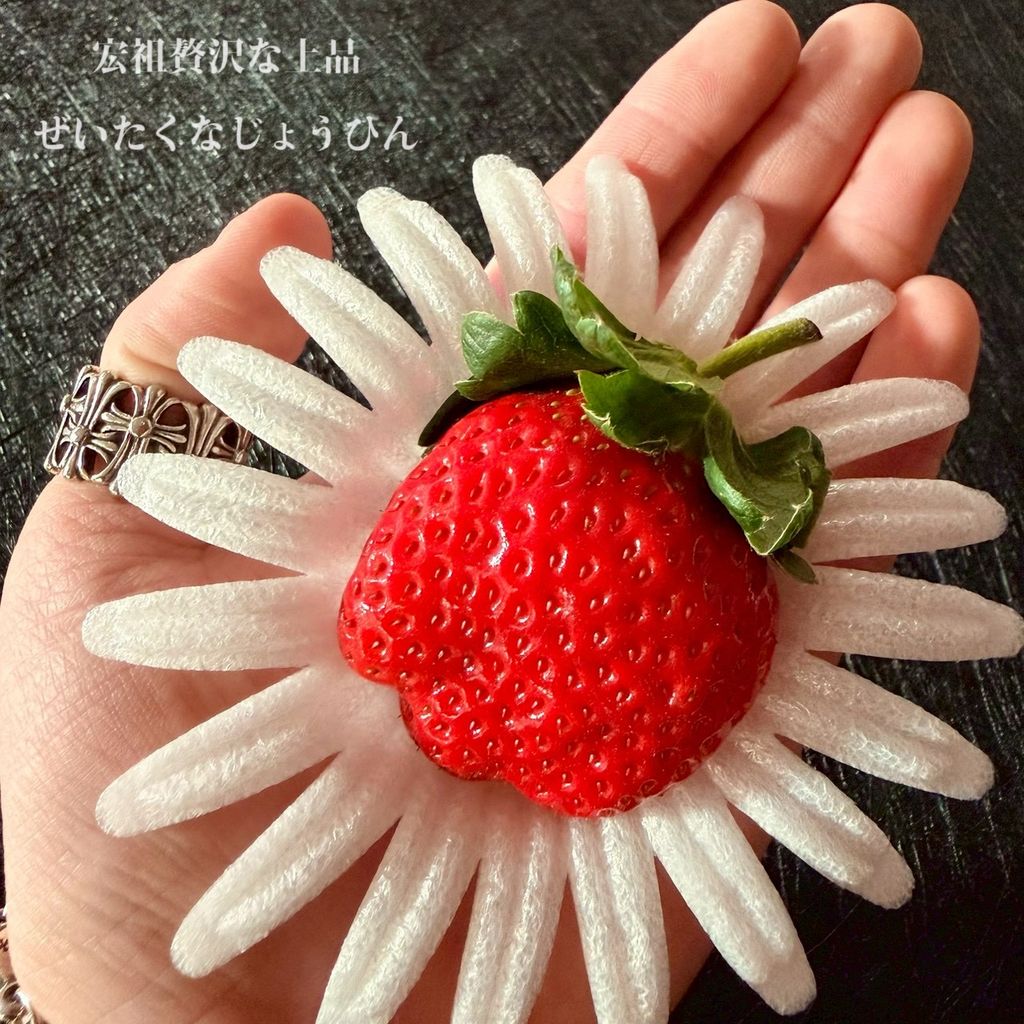 image_A636A0C2-25FE-4AFF-8217-81E601CACEFB_1765873092