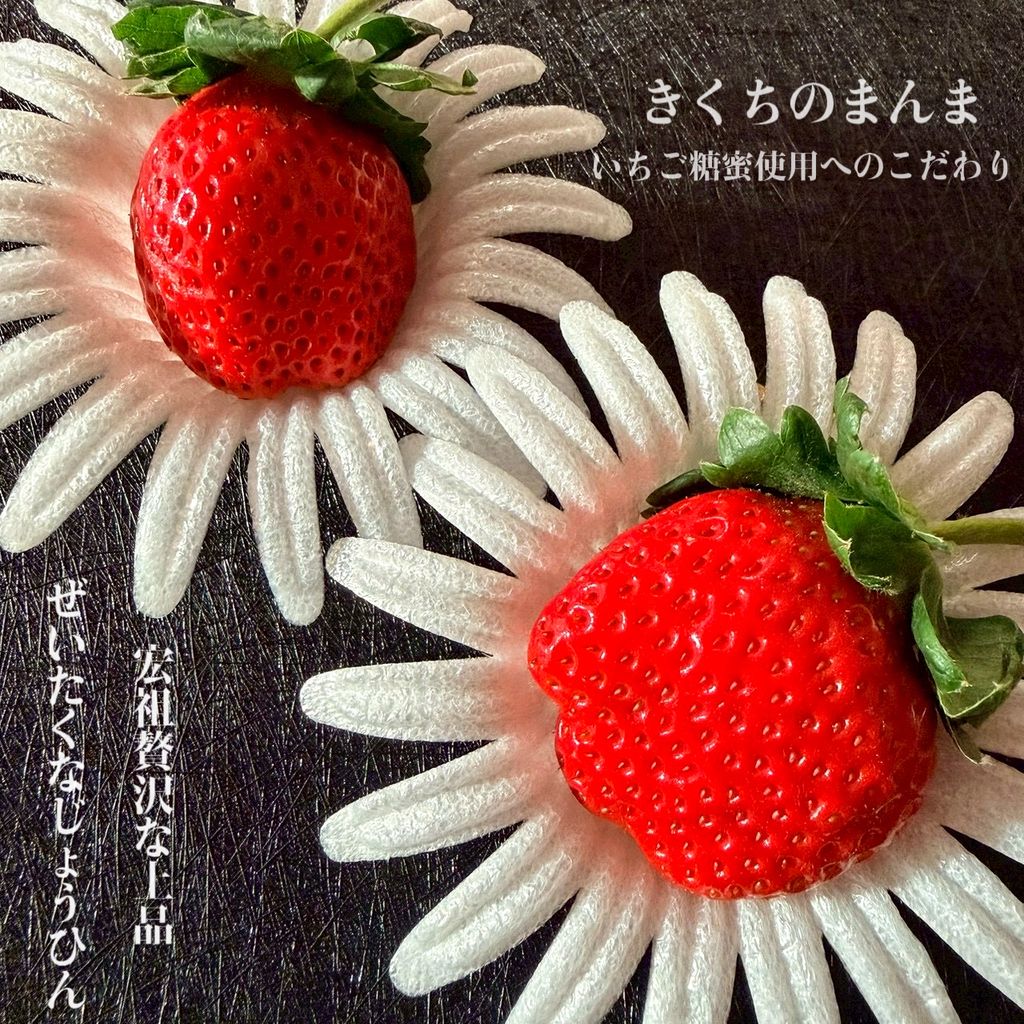 image_E9929730-1CC5-460F-A67D-96F059C43D7E_1765873092