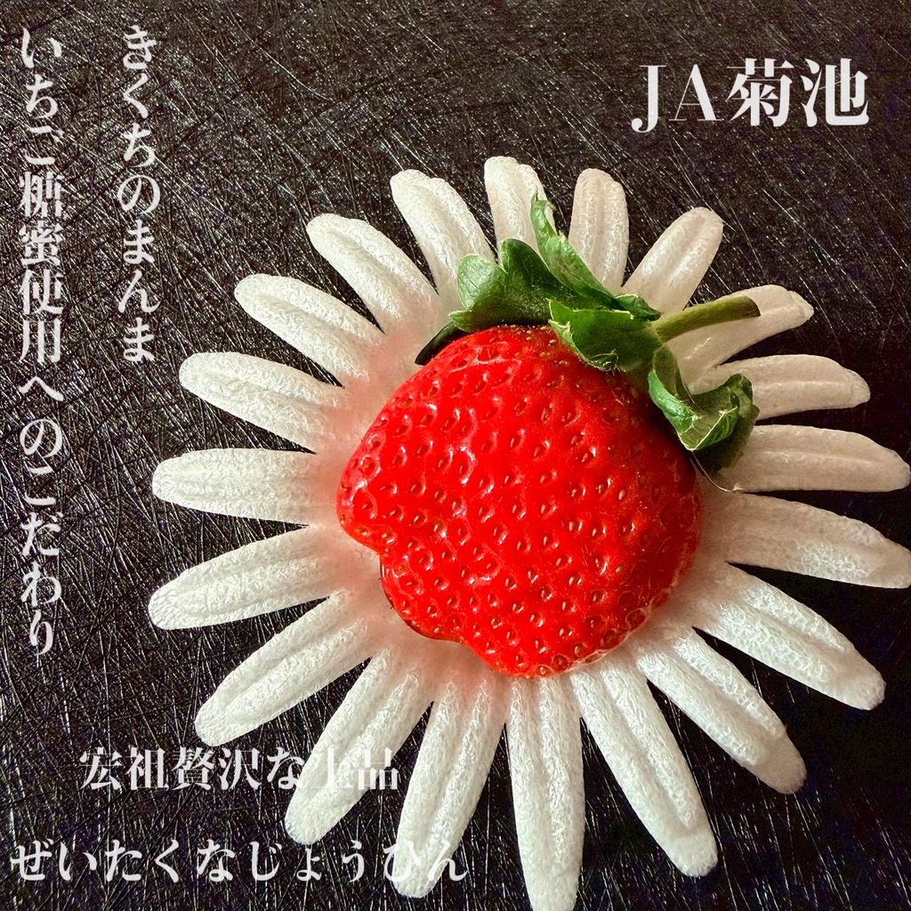 image_3B9A02E7-CB93-46A3-8381-BC567321B310_1765873092