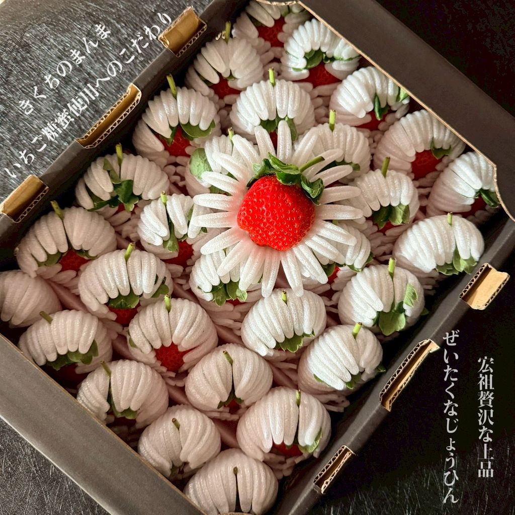 image_4E0F04A9-FA67-424E-BCE7-44FA71EE2C05_1765873092