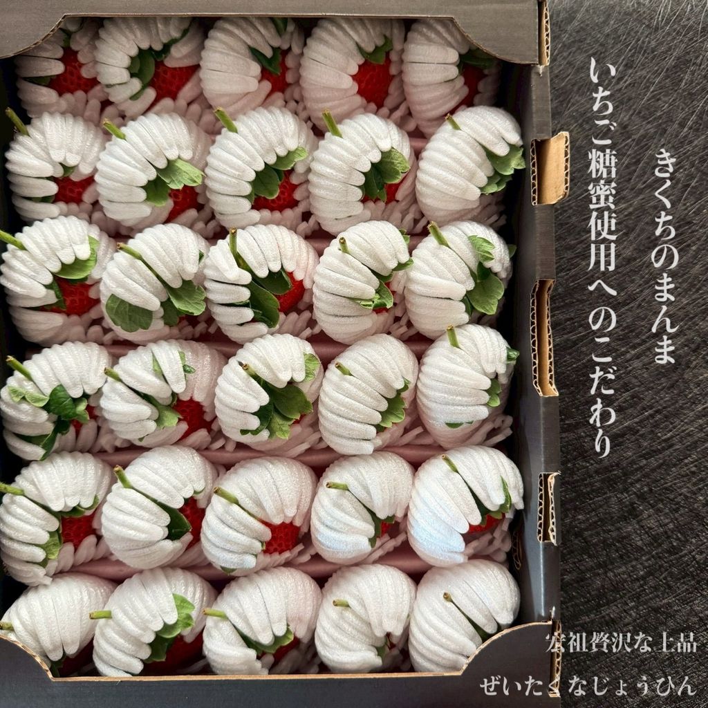 image_529FC931-4462-4820-B932-FF2ABD452861_1765873092