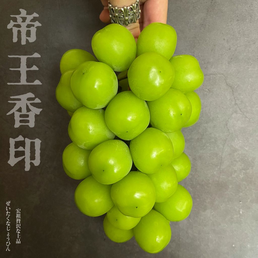 image_294A7DB0-ABE9-4894-8453-C9F0E0346068_1765888089