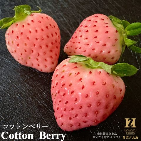 image_34CEA153-3B1C-4562-92B5-71C8B7D455C4_1766113047