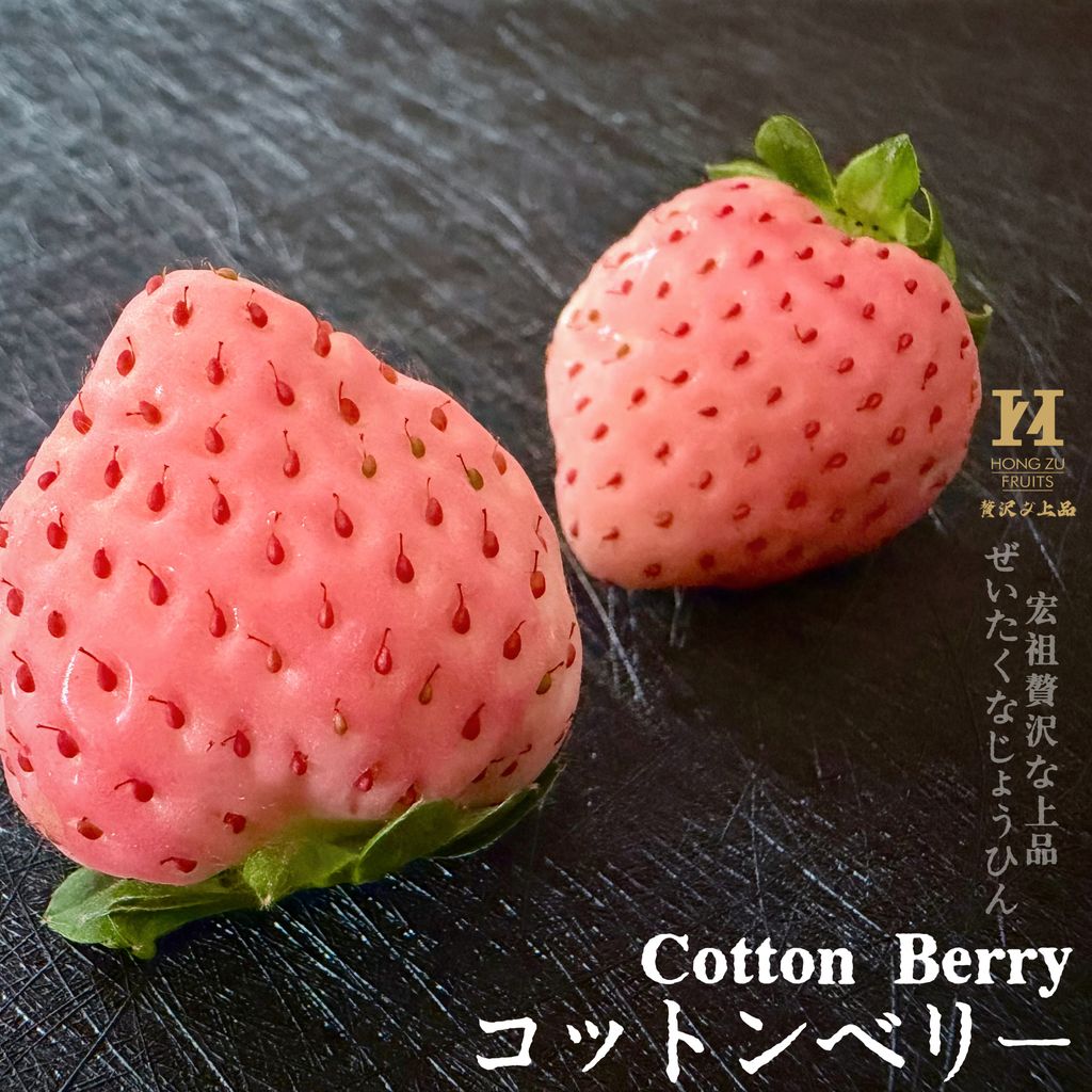 image_FA80CB4C-E1B1-41B9-BDD0-559EE709559F_1766113047