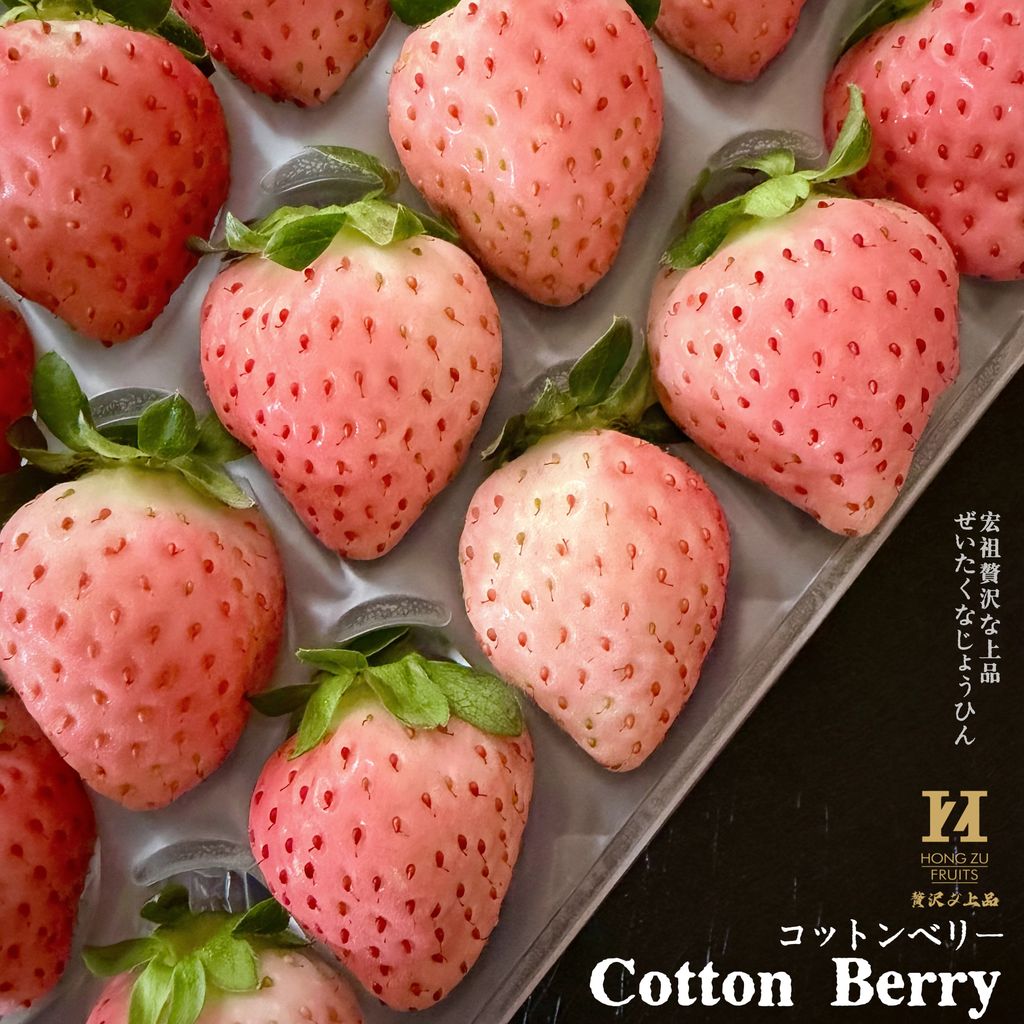 image_88DFD67F-167B-4C98-B5BD-F452801EA393_1766113047