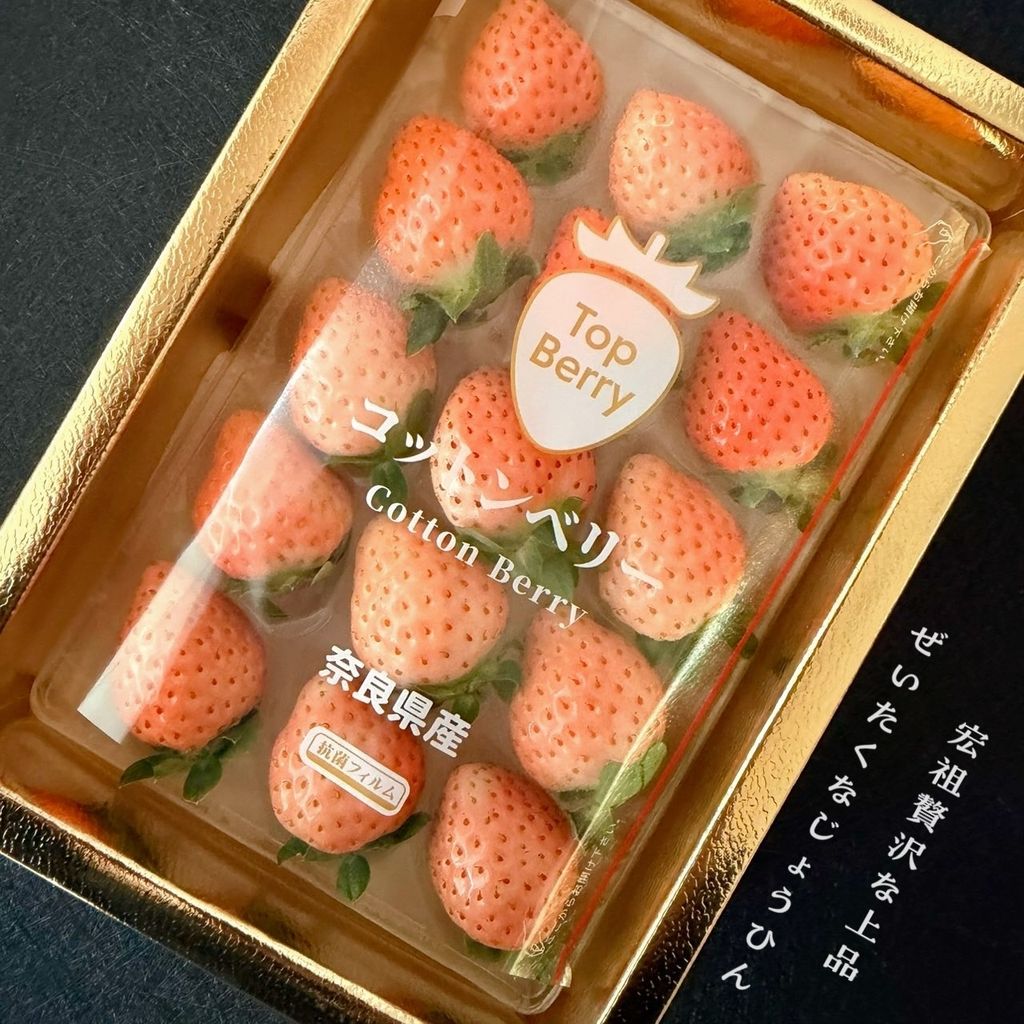 image_445018F7-0757-48CD-8E85-EF87B1AE3C8A_1766113047