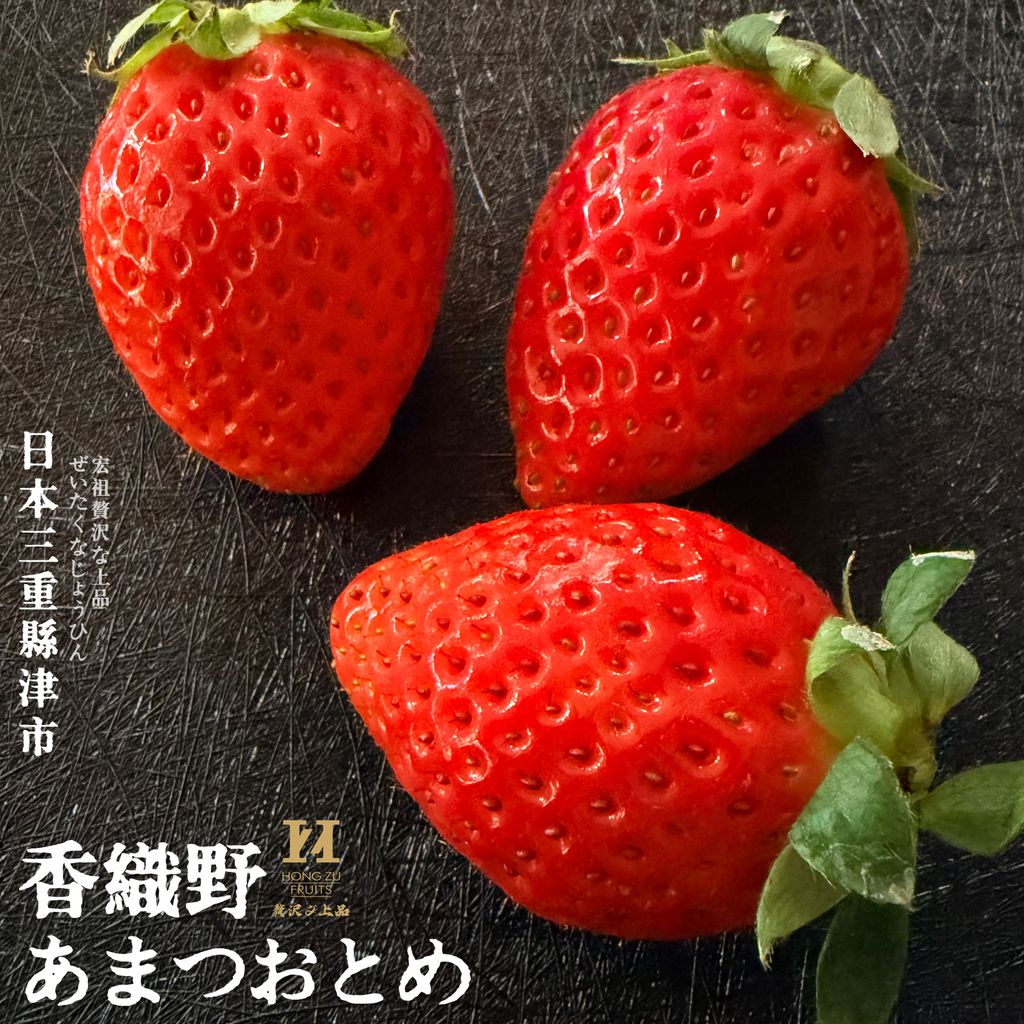 image_6E58A57D-E805-42D0-9206-D5964A38DD9A_1766118227