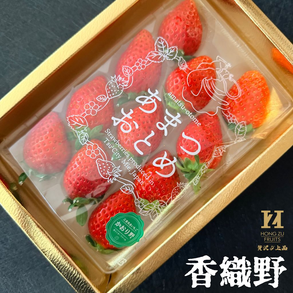 image_E26DB96C-71B3-4A19-80FD-D9A0810BFCA4_1766118227