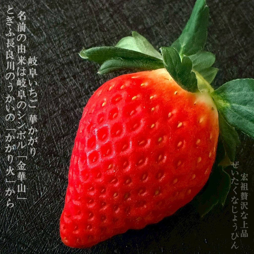 image_02C7CE35-89BF-45A1-AF79-B4397A8A2EEC_1766225844