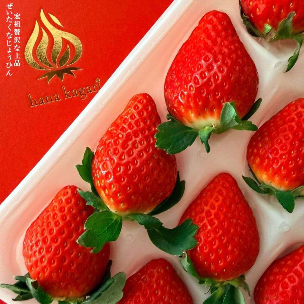 image_DB9298C8-C82A-4F69-B51B-2DB89029D428_1766225844