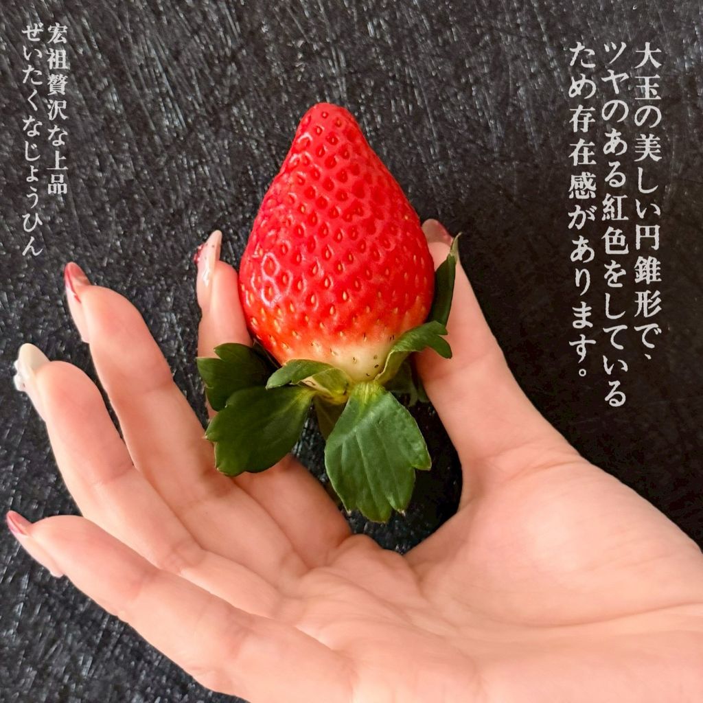 image_AF888D4C-67DA-4316-A0C0-DFA14B41804A_1766225844