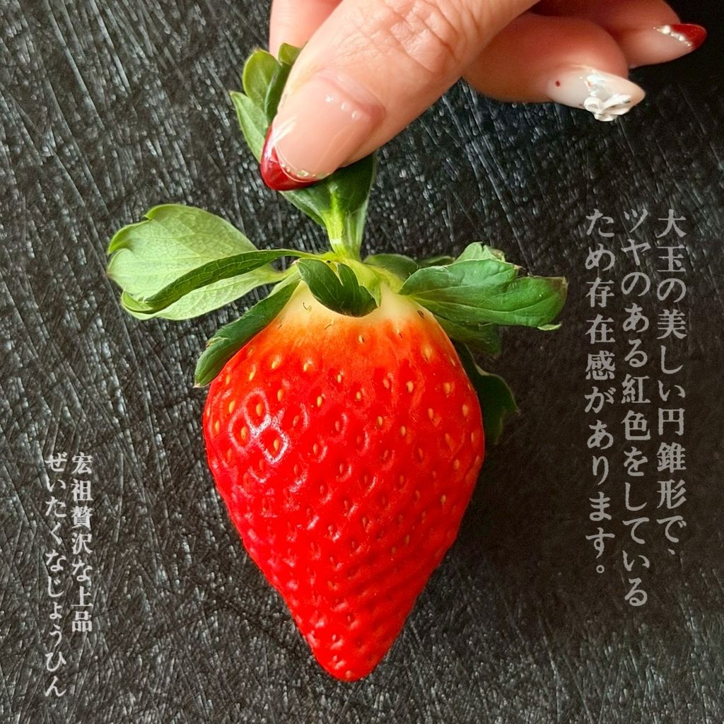 image_AC282CB7-7935-4314-8F82-BBA8531C6FDF_1766225844