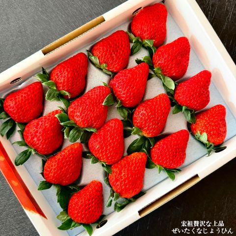 image_3E6E839F-BF5E-47CE-A66B-02BDFD0AB066_1766283412