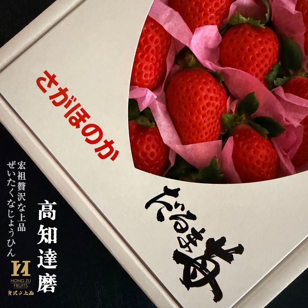 image_D793ADC8-0996-478A-BC0B-A6A9B67113A0_1766642068