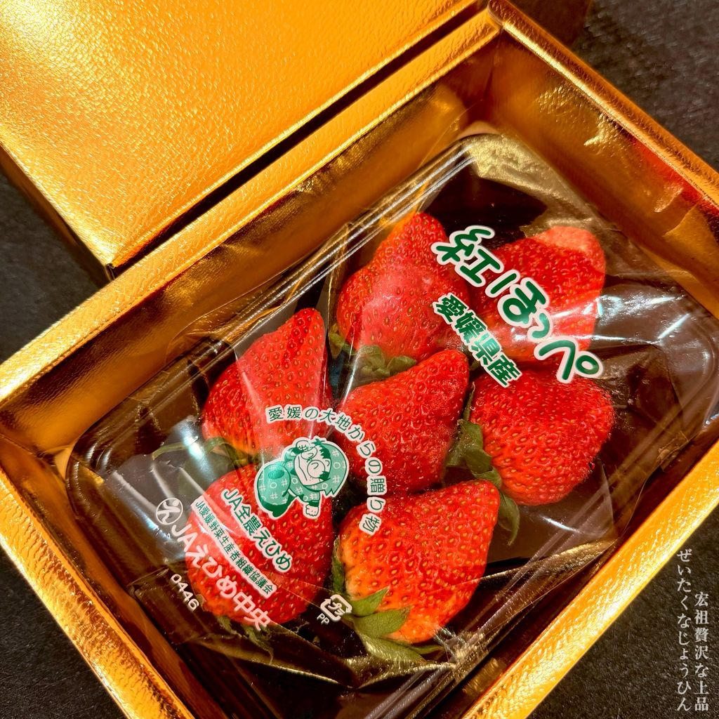 image_3557D491-78A9-41F5-AB51-F44B3DD3AC92_1766643109