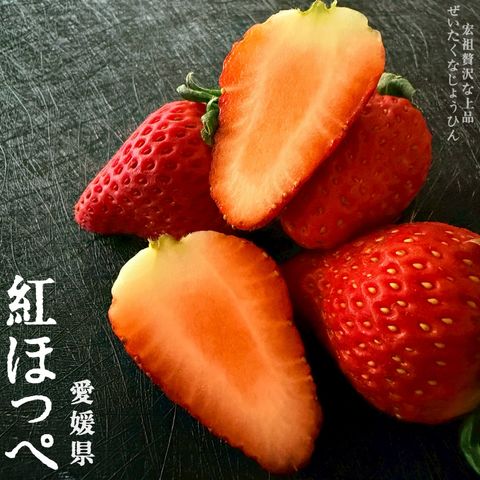 image_DFDF92A6-57B3-4386-A78A-524500B0CDFB_1766643109