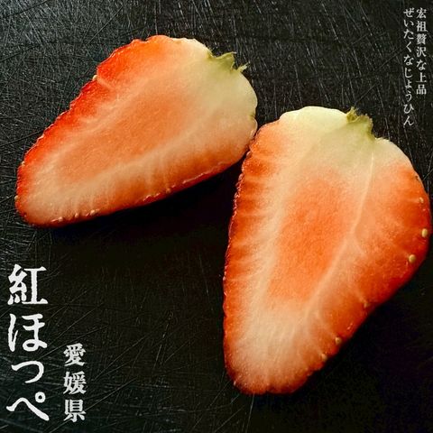 image_CFC65B9A-C1DC-4422-B316-44FCF7F18322_1766643109