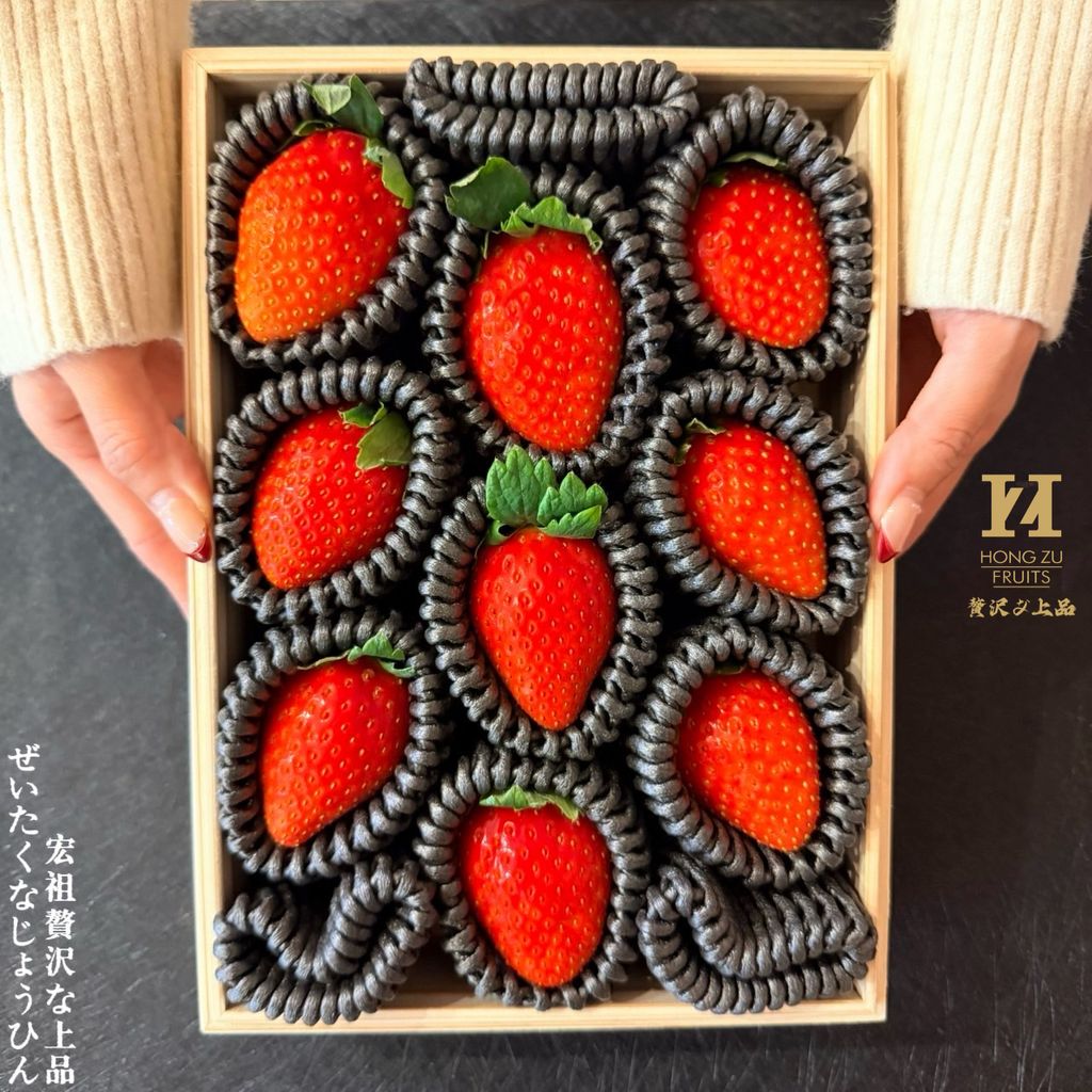 image_2AB0709E-F98B-4E70-9287-CBB0A5015363_1766725103