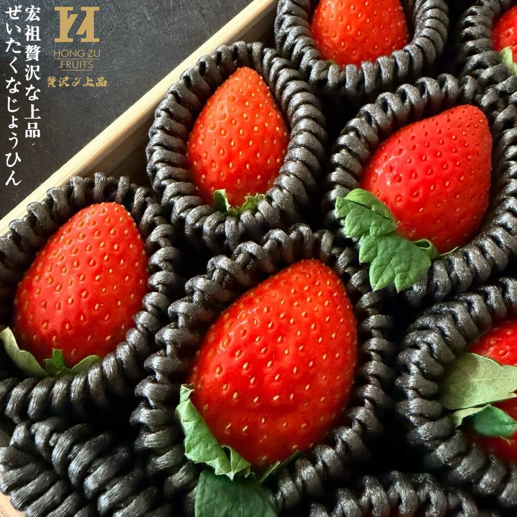 image_F245E505-C687-4A2D-94C8-2AEA36C5C3A4_1766725103